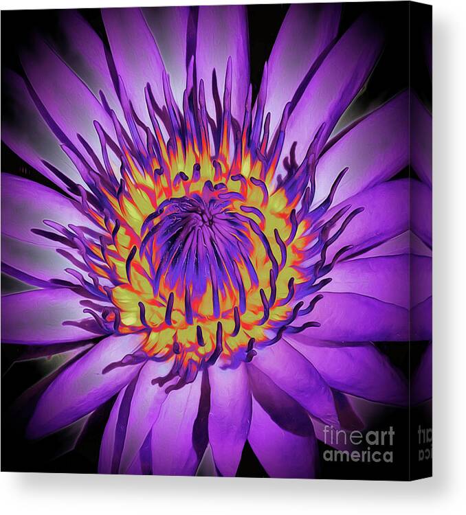 Lotus Flower Canvas Print featuring the photograph Lotus Flower Blossom by Scott Cameron