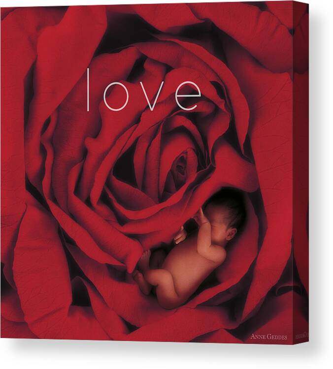 Love Canvas Print featuring the photograph Love by Anne Geddes
