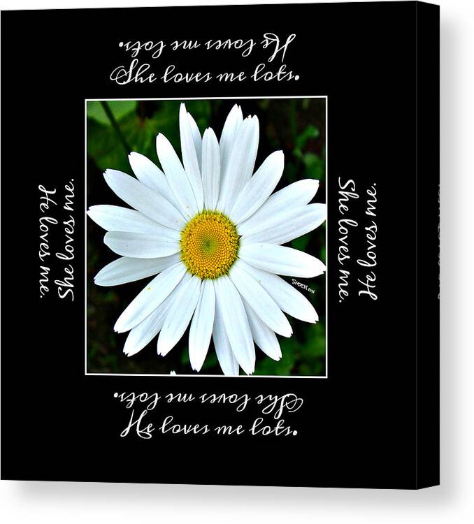 Loves Me Loves Me Lots Canvas Print featuring the digital art Loves Me Loves Me Lots by Christine Nichols