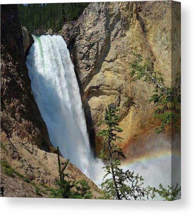 Americasbestidea Canvas Print featuring the photograph #lowerfalls From #uncletomstrail by Patricia And Craig