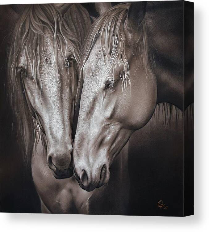 Horse Canvas Print featuring the drawing Lusitano pair by Elena Kolotusha