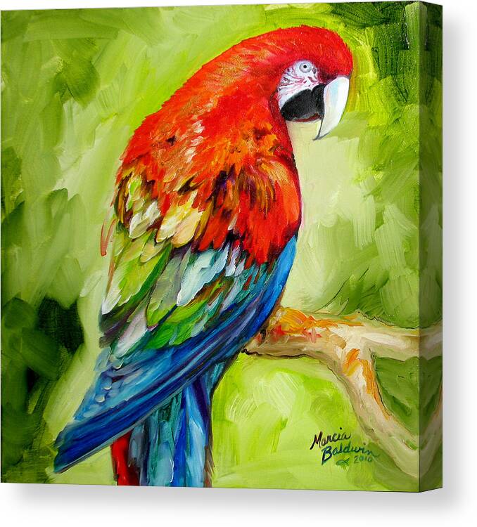 Bird Canvas Print featuring the painting Macaw Tropical by Marcia Baldwin