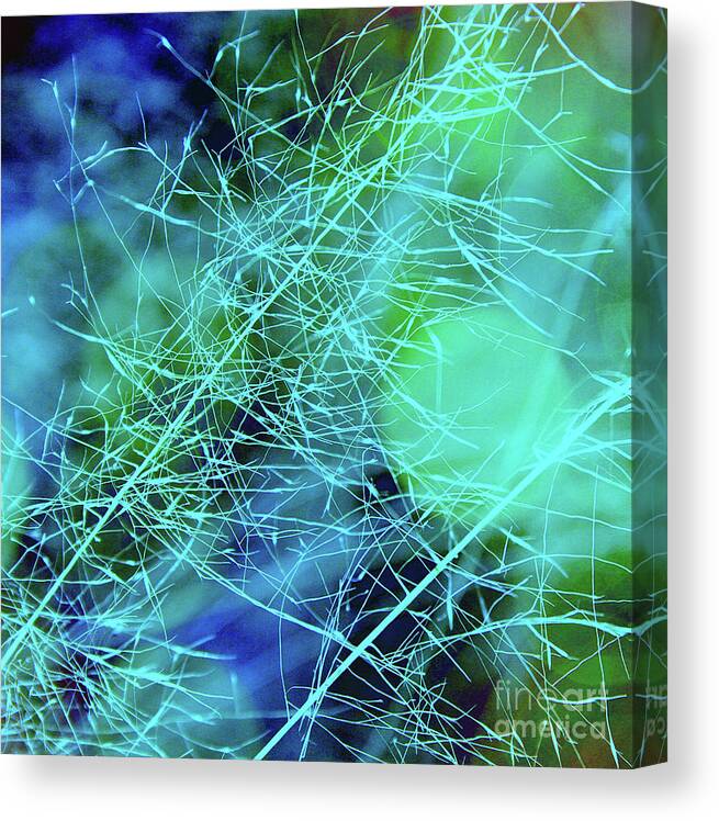 Grass Canvas Print featuring the photograph Magic Grasses in Turquoise by Judi Bagwell
