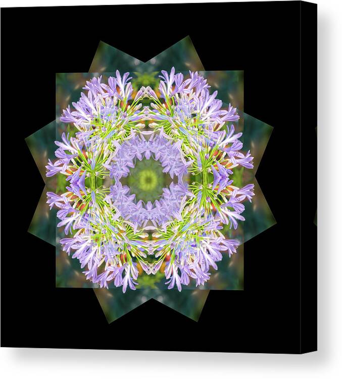 Mandala Canvas Print featuring the photograph Mandala #4 by Georgette Grossman