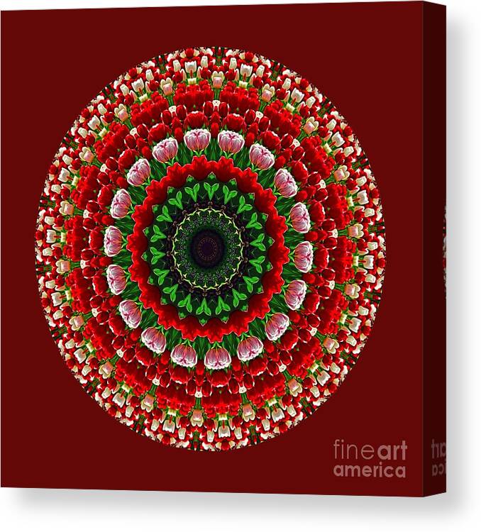 Photography Canvas Print featuring the photograph Mandala Tulipa by Kaye Menner by Kaye Menner