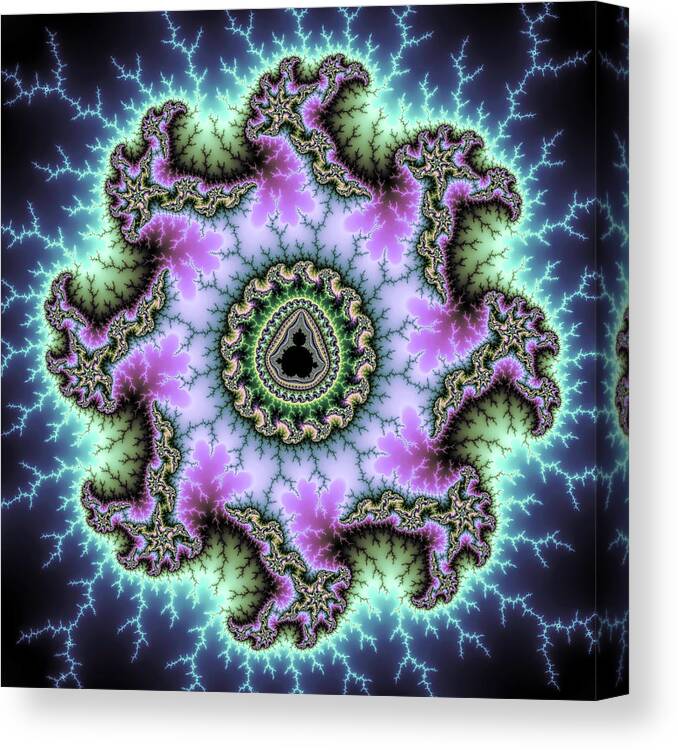 Mandelbrot Canvas Print featuring the digital art Mandelbrot Fractal Power purple and blue by Matthias Hauser