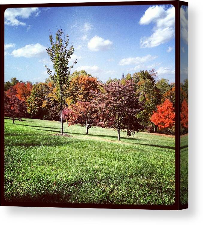 Trees Canvas Print featuring the photograph Maymont Autumn by Will Felix