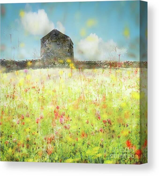 Muker Canvas Print featuring the photograph Meadowland by Janet Burdon