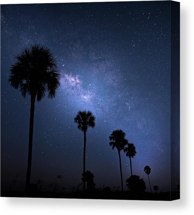 Milky Way Canvas Print featuring the photograph Milky Way Squared by Mark Andrew Thomas