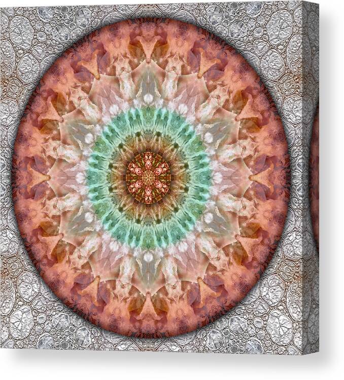 Symbolism Mandalas Canvas Print featuring the digital art Miniature Jewel by Becky Titus