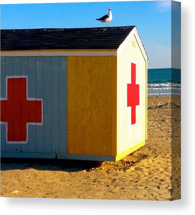 Beach Canvas Print featuring the photograph Guard by Kate Arsenault 