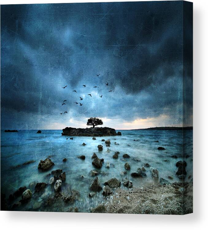 Sea Canvas Print featuring the photograph Misty Blue by Philippe Sainte-Laudy