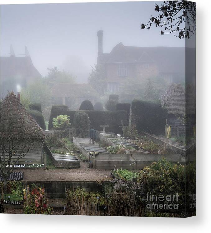 Plants Canvas Print featuring the photograph Misty Garden, Great Dixter by Perry Rodriguez