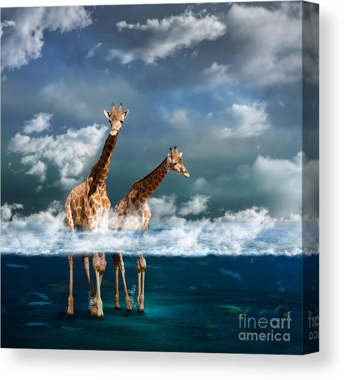 Sea Canvas Print featuring the photograph Misty by Martine Roch