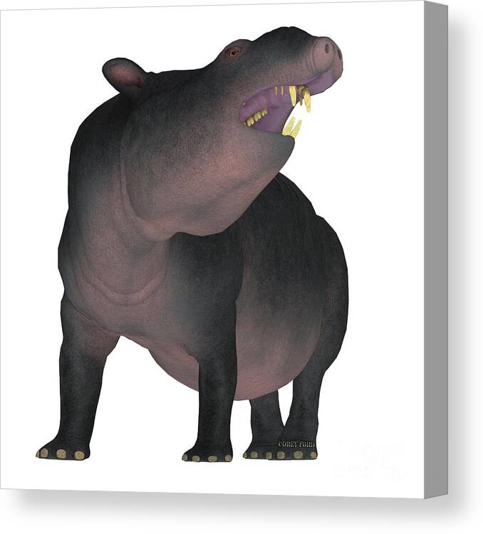 Moeritherium Canvas Print featuring the painting Moeritherium on White by Corey Ford
