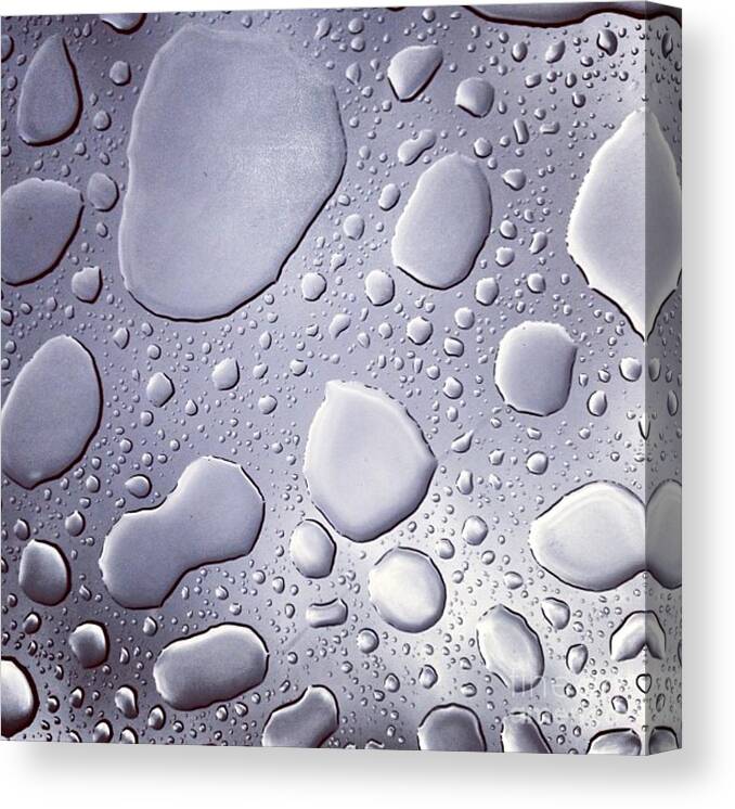 Rain Canvas Print featuring the photograph Moonroof by Denise Railey