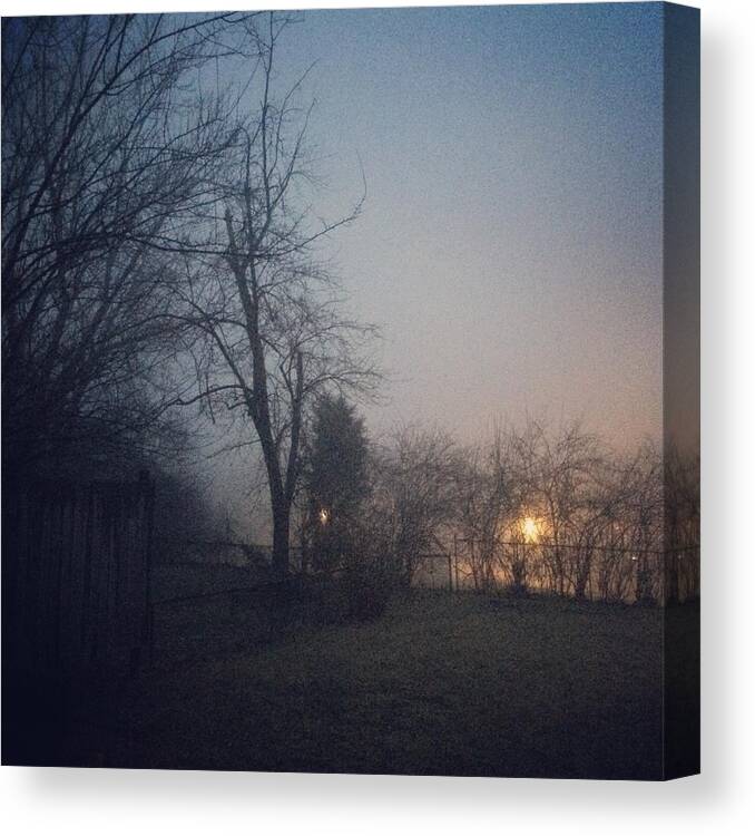 Morning Canvas Print featuring the photograph Morning Fog by Melanie Weber