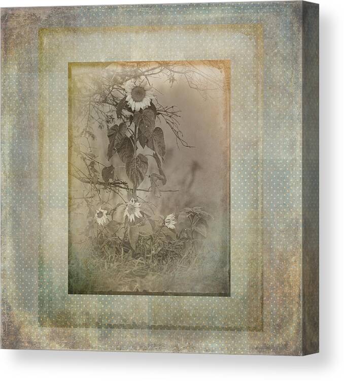 Sunflowers Canvas Print featuring the photograph Mother And Child Reunion vintage frame by Sue Capuano