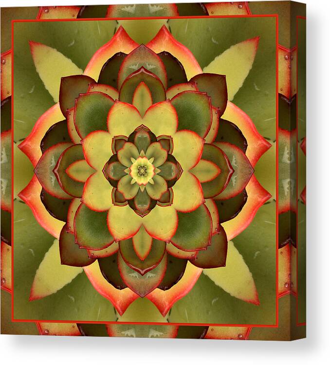 Mandalas Canvas Print featuring the photograph Mother Lotus by Bell And Todd