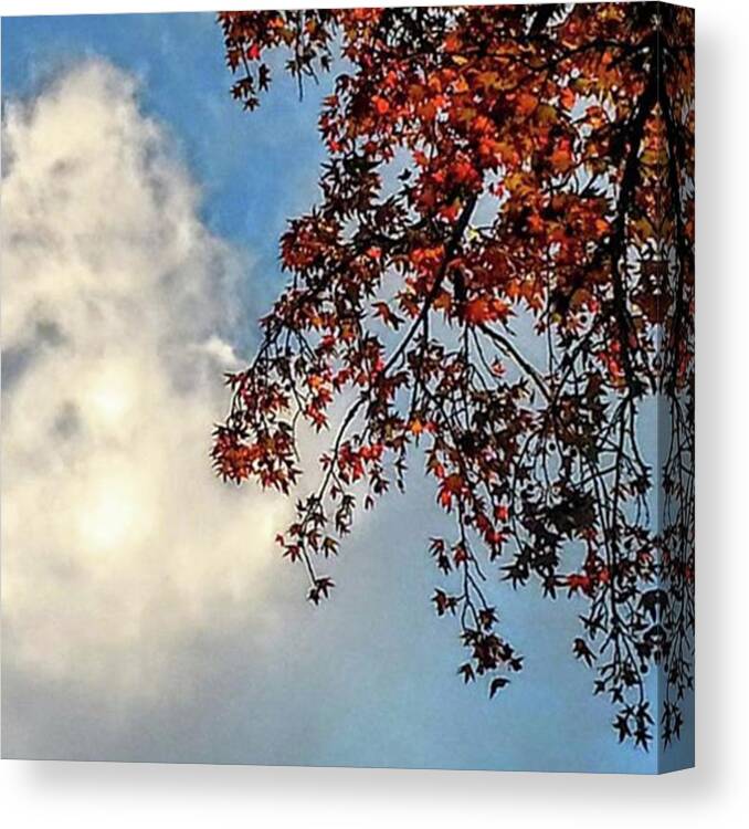 Clouds Canvas Print featuring the photograph Mother Nature's Impressionist by Cheray Dillon