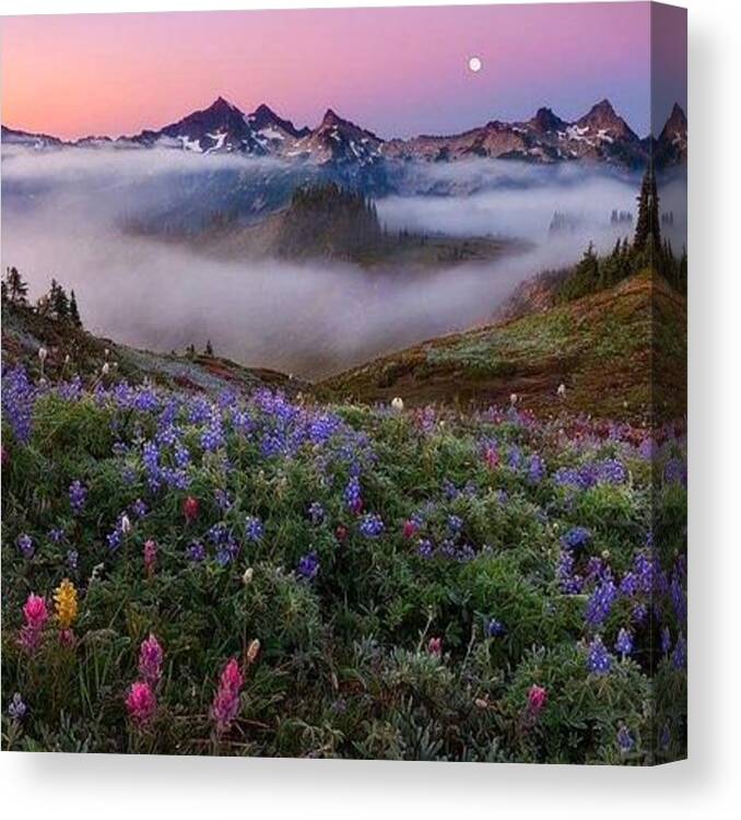 Mount Rainier National Park Is A United States National Park Located In Southeast Pierce County And Northeast Lewis County In Washington State. Canvas Print featuring the photograph Mount Rainier National Park by Andy Bucaille
