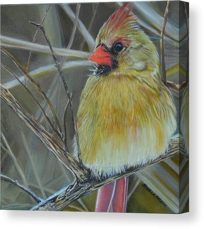 Cardinal Canvas Print featuring the painting Mrs. C by Stella Marin