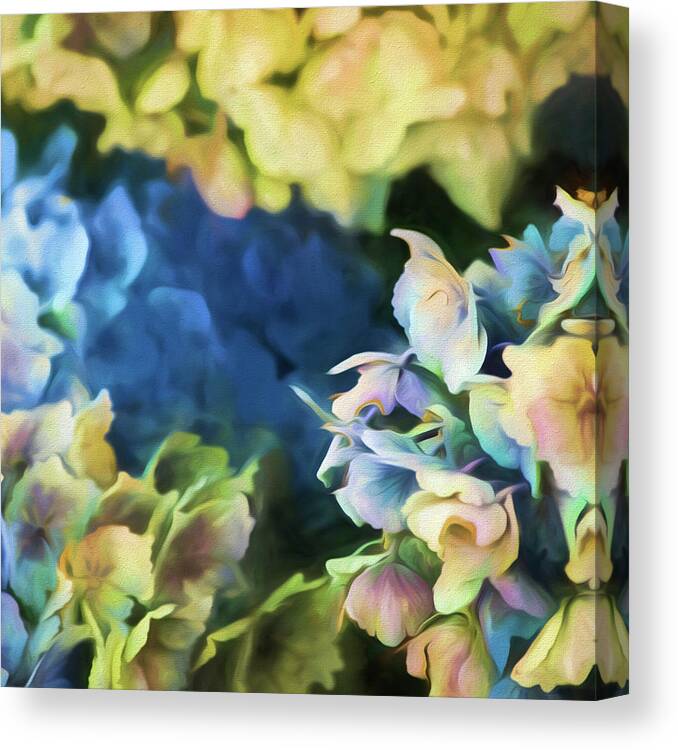 Painterly Canvas Print featuring the painting Multicolor Hydrangeas by Bonnie Bruno