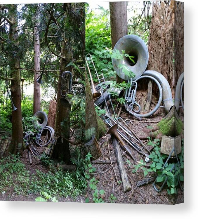  Canvas Print featuring the photograph Musical Instrument Graveyard
*soooo by Serena Elm
