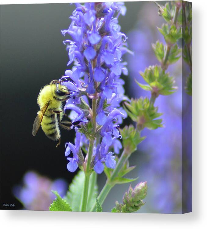 Honey Bee Canvas Print featuring the photograph My Precious by Kathy Kelly