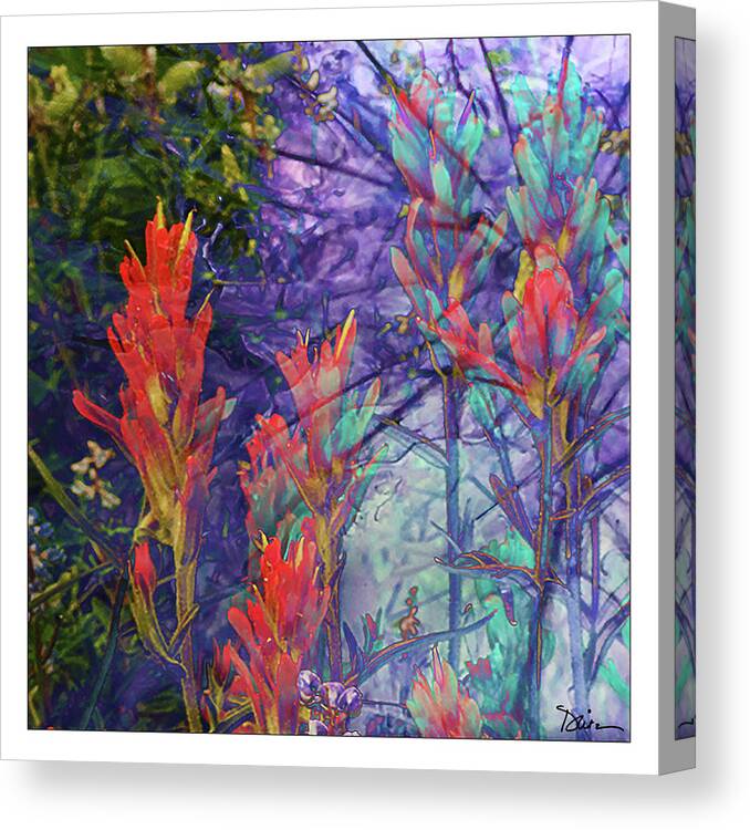 Indian Paintbrush Canvas Print featuring the photograph Mystic by Peggy Dietz