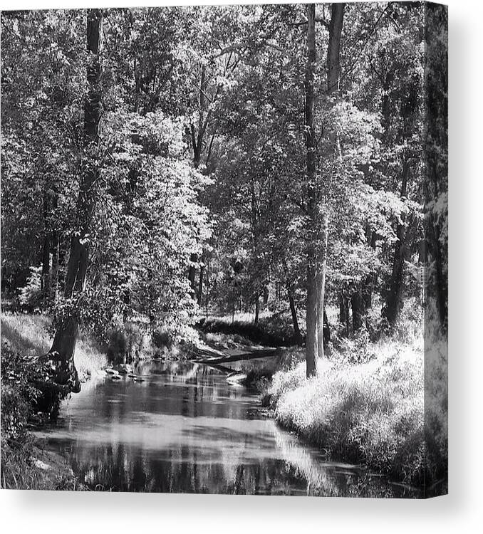 Great Seneca Creek Canvas Print featuring the photograph Nadine's Creek in Black and White by Kathy Kelly