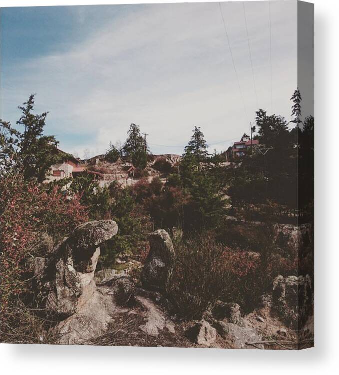 Photography Canvas Print featuring the photograph #nature #lacumbre #natural #photography by Gin Ivanovic 