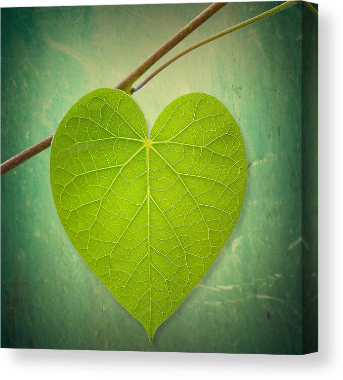 Heart Canvas Print featuring the photograph Nature Lover by Philippe Sainte-Laudy