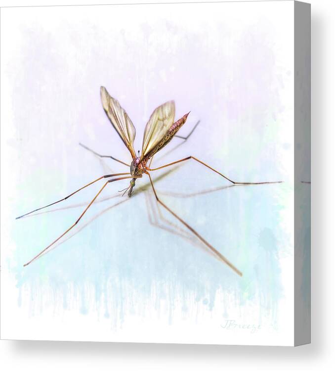 Crane Fly Canvas Print featuring the digital art Nature's Art by Jennie Breeze