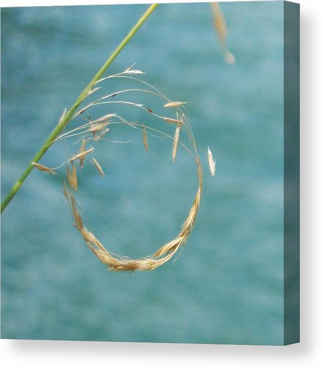 Nature Canvas Print featuring the photograph Nature's Circle by Ken Day