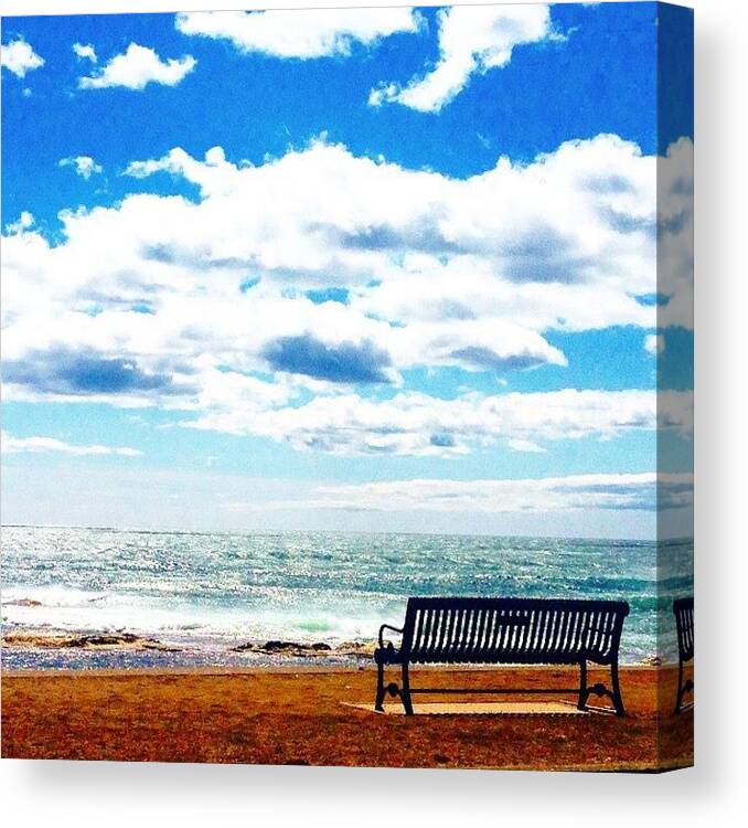 Rhode Island Canvas Print featuring the photograph Thinking Spot by Kate Arsenault 