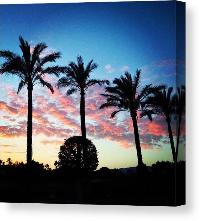  Canvas Print featuring the photograph Not Much Better View Than Palm Trees In by Jennie Davies