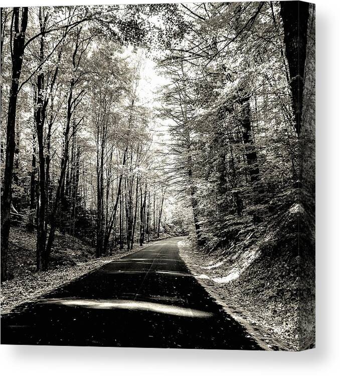  Canvas Print featuring the photograph October Grayscale by Kendall McKernon
