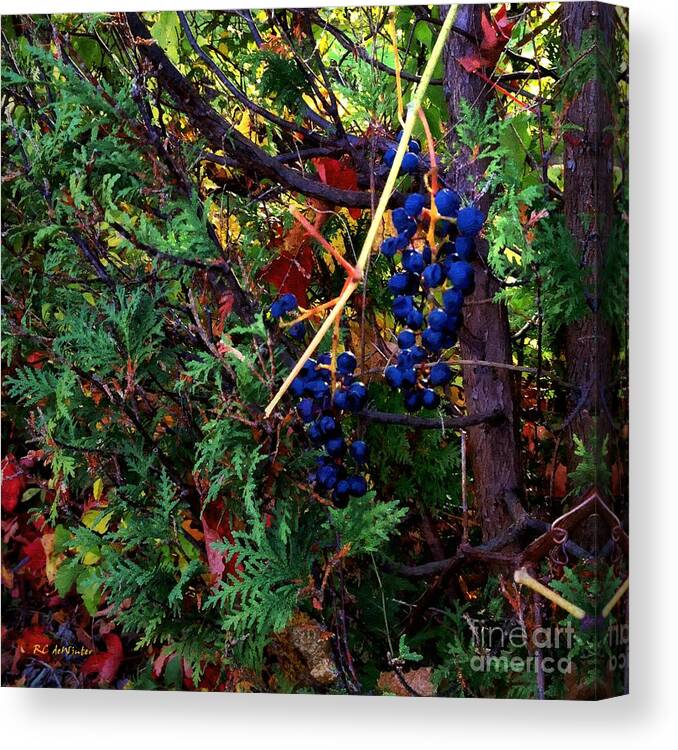 Autumn Canvas Print featuring the painting October Potpourri by RC DeWinter