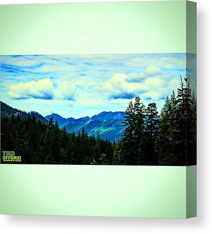 Nature Canvas Print featuring the photograph Off Road Part II
#view #offroad by Pat Weitzner