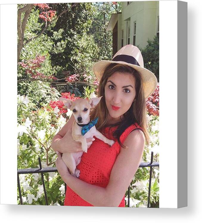 Atlblogger Canvas Print featuring the photograph Off To Make A Farmers Market Run With by Catherine Catoura