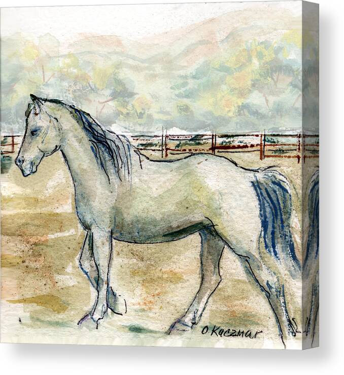 Horse Canvas Print featuring the painting Old Gray Mare by Olga Kaczmar