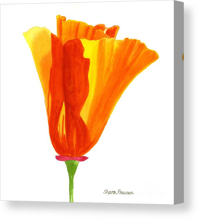 Orange Canvas Print featuring the painting One California Poppy Flower by Sharon Freeman