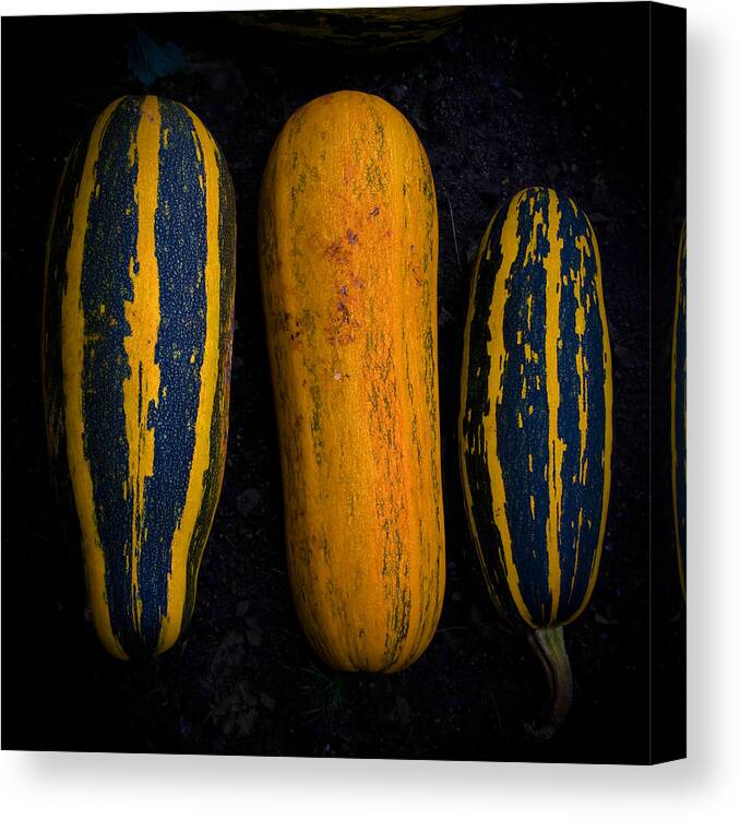 Orange Canvas Print featuring the photograph Orange and Black 10 by John McKinlay