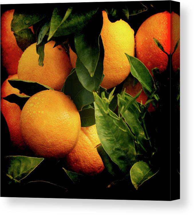Oranges Canvas Print featuring the photograph Oranges by Ernest Echols