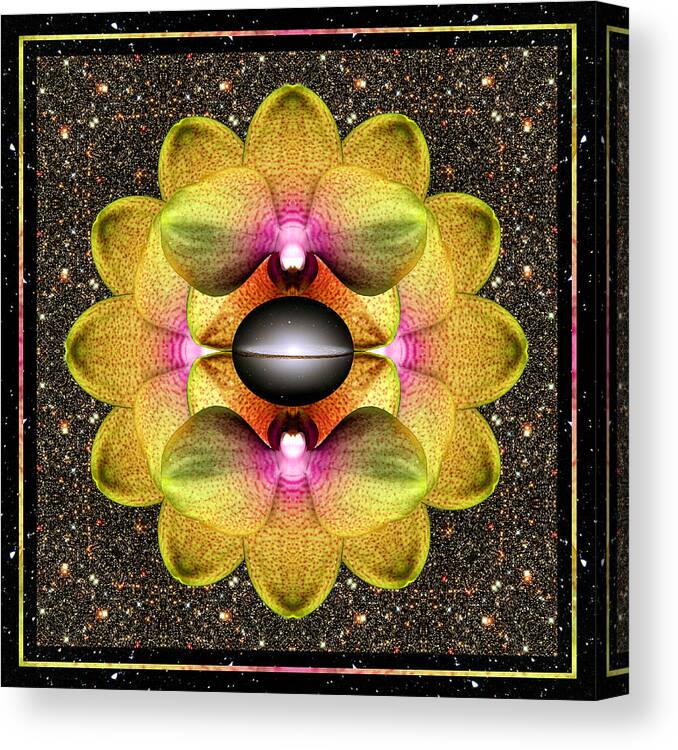 Yoga Art Canvas Print featuring the photograph Origin Point by Bell And Todd