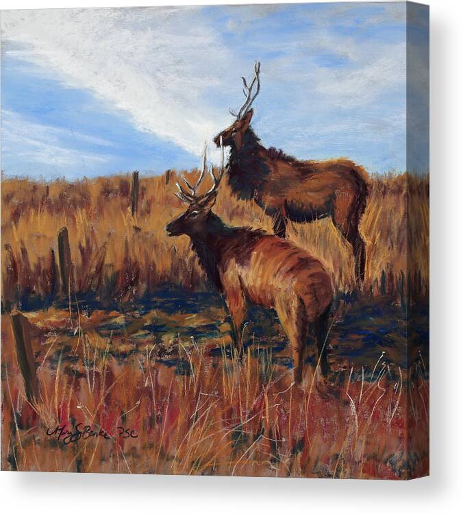 Elk Canvas Print featuring the painting Pair o' Bulls by Mary Benke