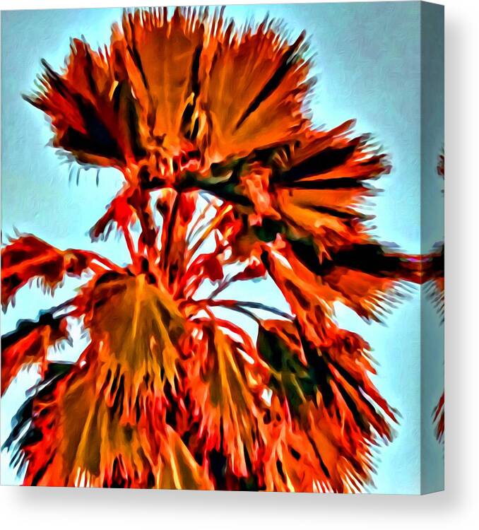 Palm Canvas Print featuring the painting Palm by Lelia DeMello