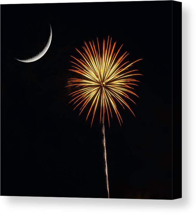 Fireworks Canvas Print featuring the photograph Palmetto Fireworks 2 by David Palmer