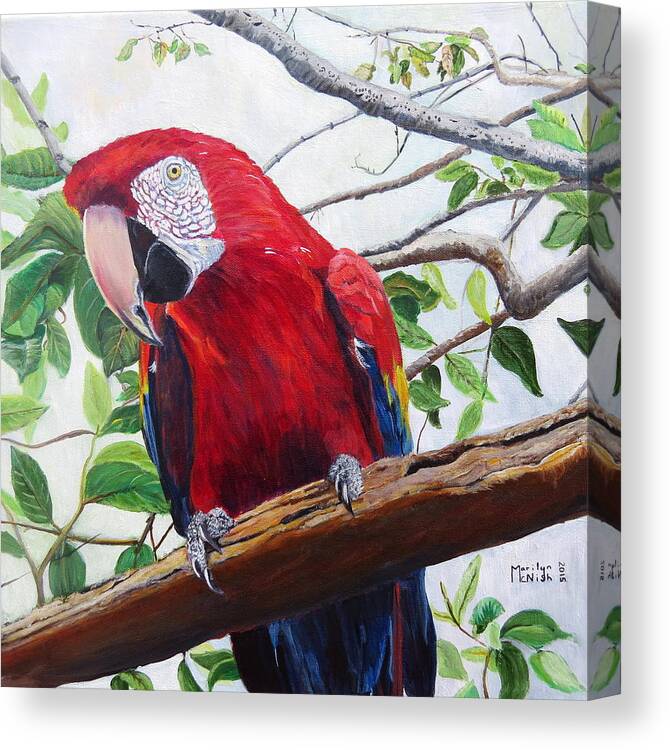 Lake Atitlan Natural Reserve Canvas Print featuring the painting Parrot Portrait by Marilyn McNish